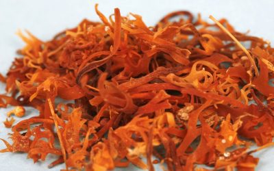 Sea Moss Benefits and How to Use it in Your Everyday Life?